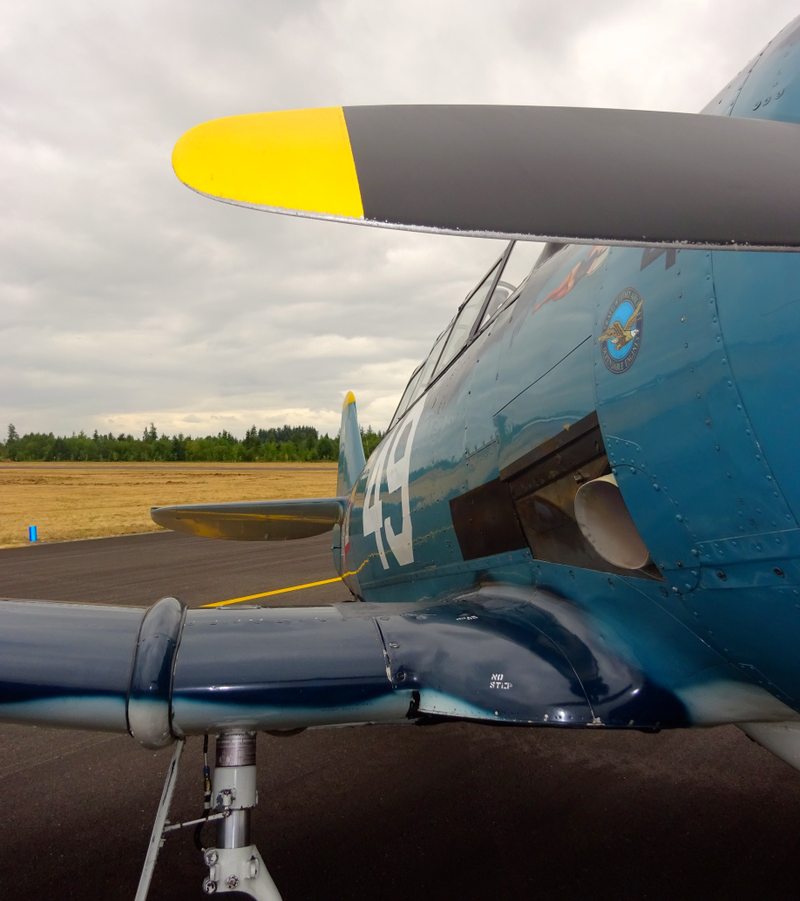 Illustration for article titled EAA Fly In - Arlington WA